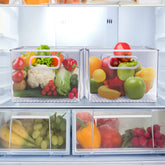 Plastic Container Bins with Handles